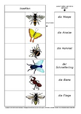 Flip-Flap-Zuordnung-Insekten-1-4.pdf